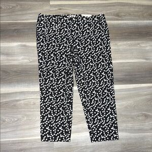 In Every Story pokadot Capri pants size 22 Plus NWT